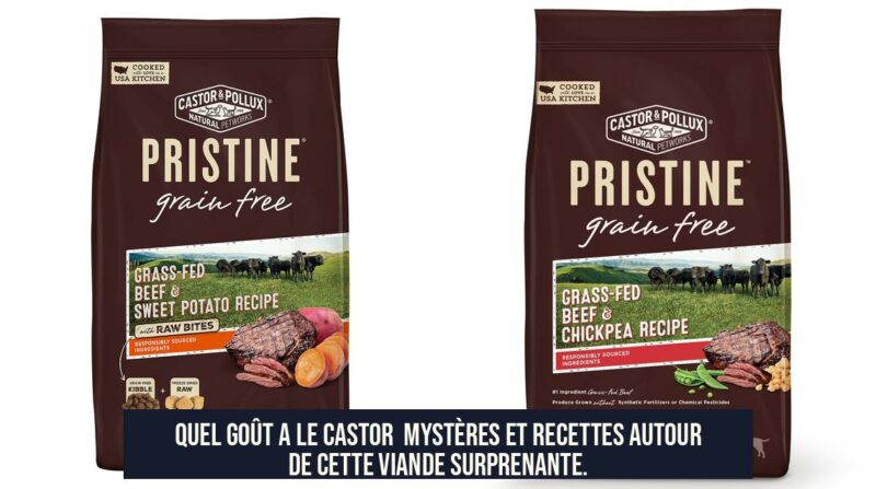 Quel goût a le castor Mystères et recettes autour de cette viande surprenante.
