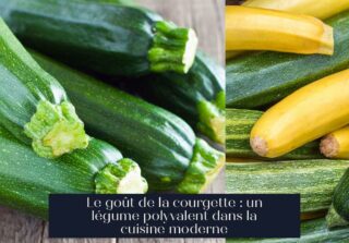 Le goût de la courgette : un légume polyvalent dans la cuisine moderne
