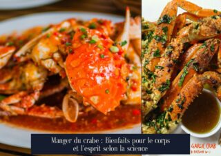 Manger du crabe : Bienfaits pour le corps et l'esprit selon la science