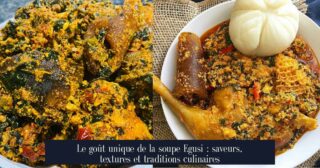 Le goût unique de la soupe Egusi : saveurs, textures et traditions culinaires