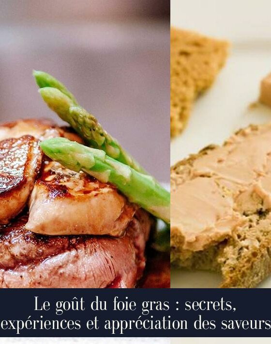 Le goût du foie gras : secrets, expériences et appréciation des saveurs