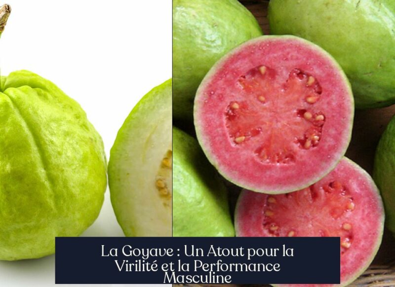 La Goyave : Un Atout pour la Virilité et la Performance Masculine