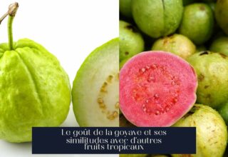 Le goût de la goyave et ses similitudes avec d'autres fruits tropicaux