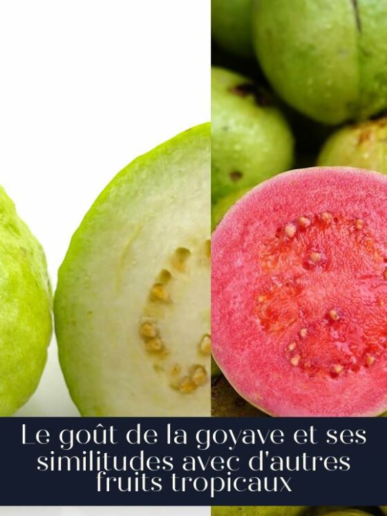 Le goût de la goyave et ses similitudes avec d'autres fruits tropicaux