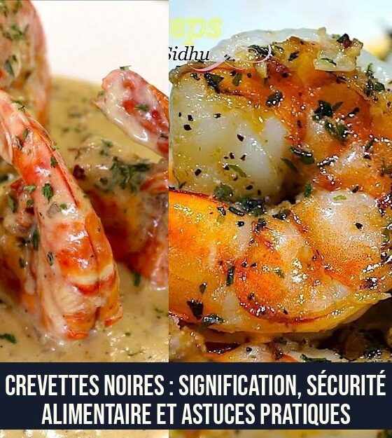 Crevettes Noires : Signification, Sécurité Alimentaire et Astuces Pratiques