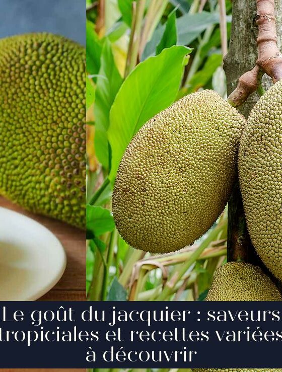 Le goût du jacquier : saveurs tropiciales et recettes variées à découvrir