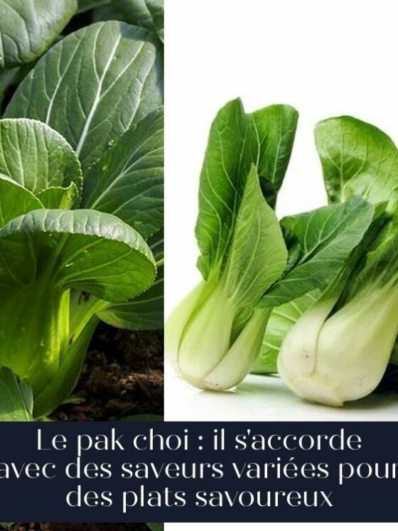 Le pak choi : il s'accorde avec des saveurs variées pour des plats savoureux