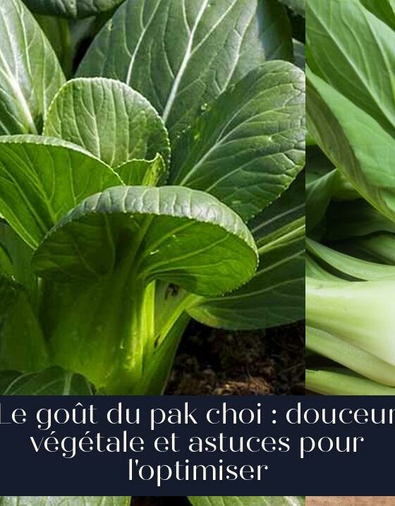 Le goût du pak choi : douceur végétale et astuces pour l'optimiser