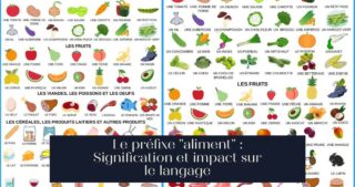 Le préfixe "aliment" : Signification et impact sur le langage