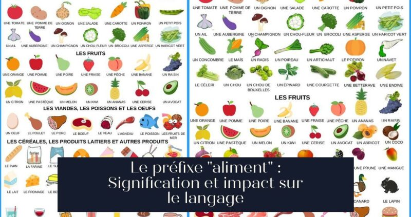 Le préfixe "aliment" : Signification et impact sur le langage