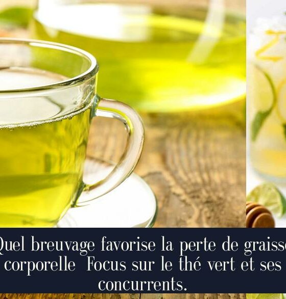 Quel breuvage favorise la perte de graisse corporelle Focus sur le thé vert et ses concurrents.