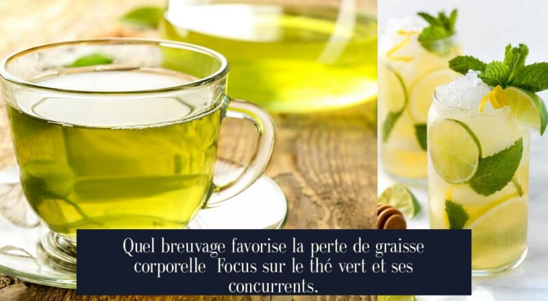 Quel breuvage favorise la perte de graisse corporelle Focus sur le thé vert et ses concurrents.