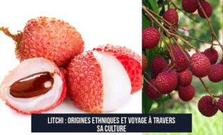 Litchi : Origines Ethniques et Voyage à Travers sa Culture