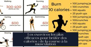 Les exercices les plus efficaces pour brûler des calories : de la course à la musculation