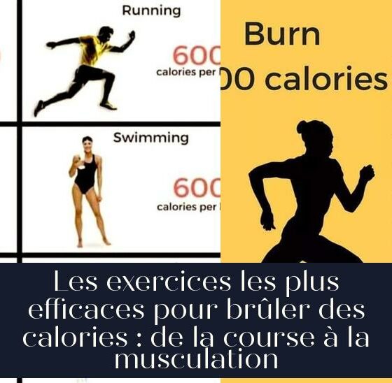 Les exercices les plus efficaces pour brûler des calories : de la course à la musculation