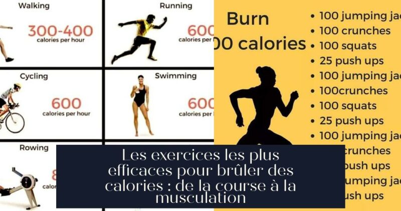 Les exercices les plus efficaces pour brûler des calories : de la course à la musculation