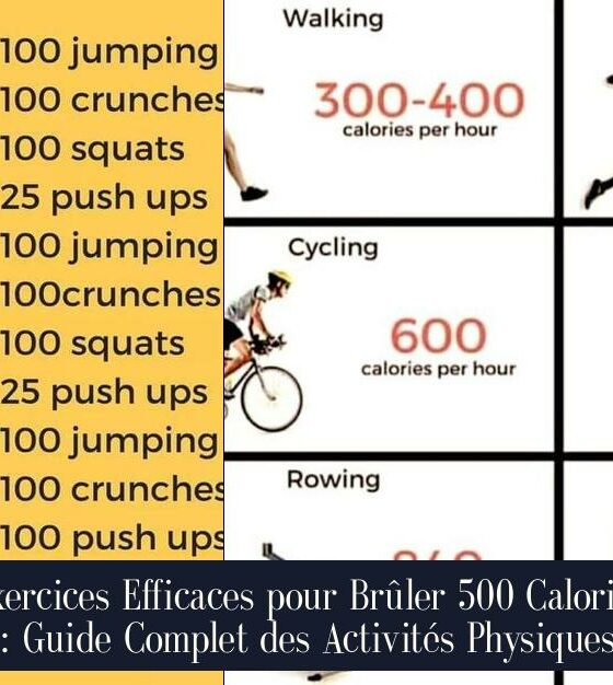 Exercices Efficaces pour Brûler 500 Calories : Guide Complet des Activités Physiques