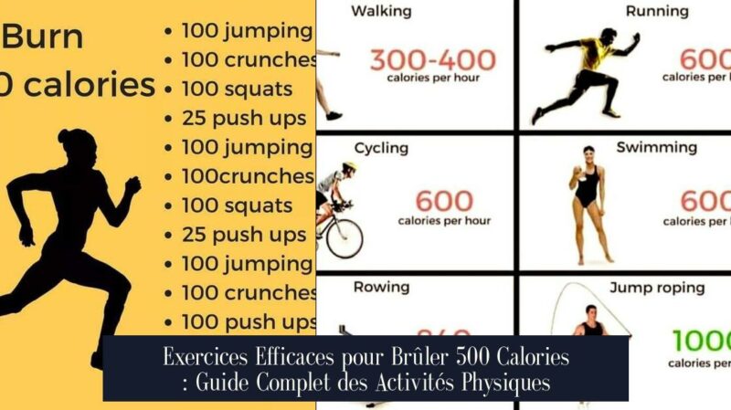 Exercices Efficaces pour Brûler 500 Calories : Guide Complet des Activités Physiques