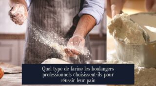 Quel type de farine les boulangers professionnels choisissent-ils pour réussir leur pain