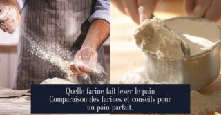 Quelle farine fait lever le pain Comparaison des farines et conseils pour un pain parfait.