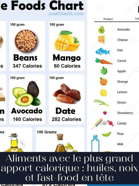 Aliments avec le plus grand apport calorique : huiles, noix et fast-food en tête
