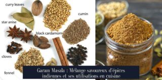 Garam Masala : Mélange savoureux d'épices indiennes et ses utilisations en cuisine