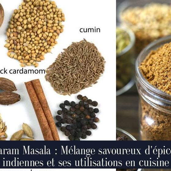 Garam Masala : Mélange savoureux d'épices indiennes et ses utilisations en cuisine