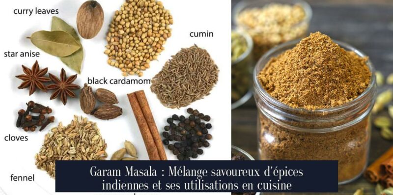 Garam Masala : Mélange savoureux d'épices indiennes et ses utilisations en cuisine