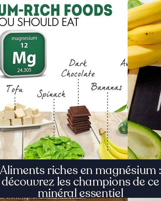 Aliments riches en magnésium : découvrez les champions de ce minéral essentiel