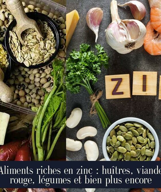 Aliments riches en zinc : huîtres, viande rouge, légumes et bien plus encore