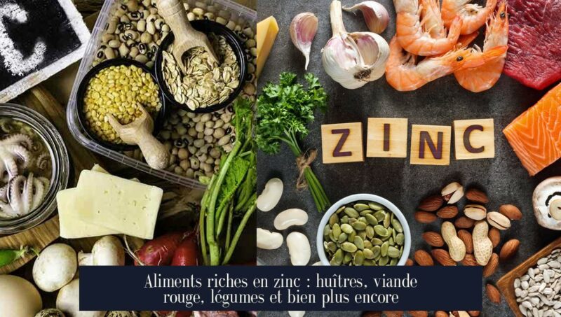 Aliments riches en zinc : huîtres, viande rouge, légumes et bien plus encore