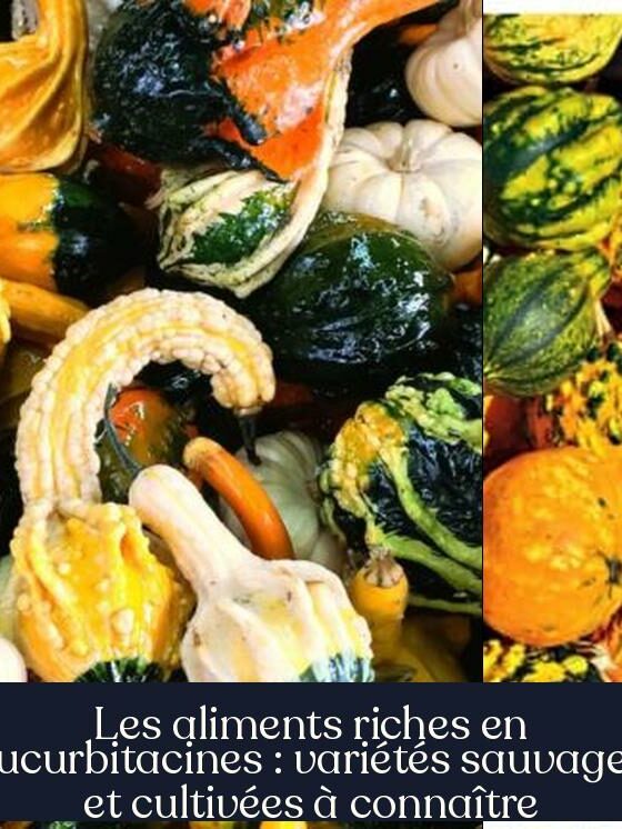 Les aliments riches en cucurbitacines : variétés sauvages et cultivées à connaître