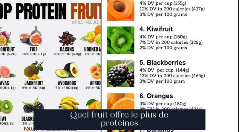 Quel fruit offre le plus de protéines