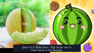 Quel est le Melon Doré Tout Savoir sur Ce Fruit Sucré et Ses Bienfaits