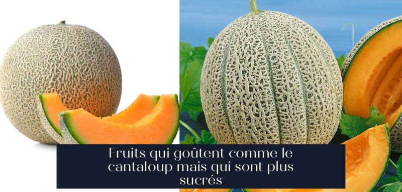 Fruits qui goûtent comme le cantaloup mais qui sont plus sucrés