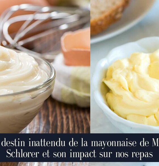 Le destin inattendu de la mayonnaise de Mme Schlorer et son impact sur nos repas