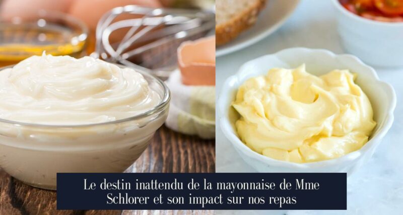 Le destin inattendu de la mayonnaise de Mme Schlorer et son impact sur nos repas