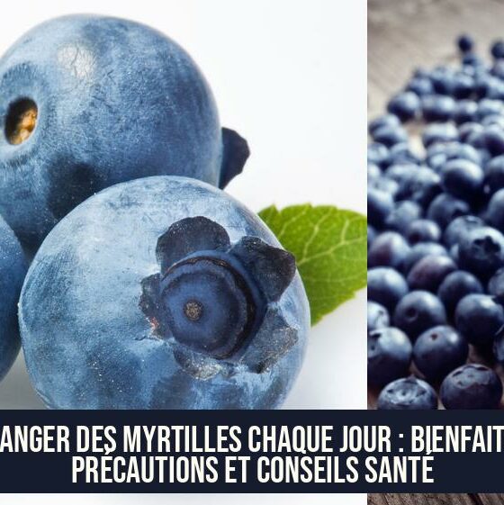 Manger des myrtilles chaque jour : bienfaits, précautions et conseils santé