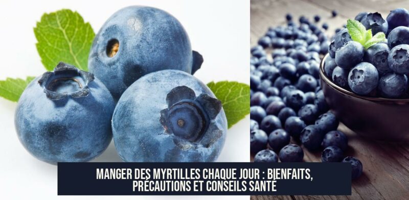 Manger des myrtilles chaque jour : bienfaits, précautions et conseils santé