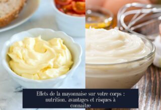 Effets de la mayonnaise sur votre corps : nutrition, avantages et risques à connaître