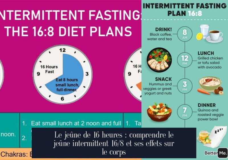 Le jeûne de 16 heures : comprendre le jeûne intermittent 16/8 et ses effets sur le corps