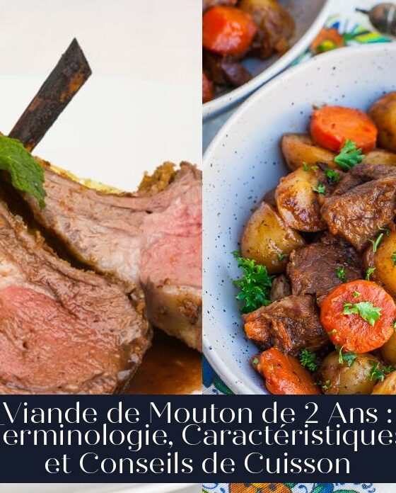 Viande de Mouton de 2 Ans : Terminologie, Caractéristiques et Conseils de Cuisson