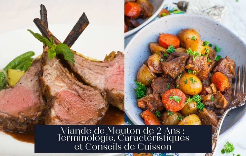 Viande de Mouton de 2 Ans : Terminologie, Caractéristiques et Conseils de Cuisson