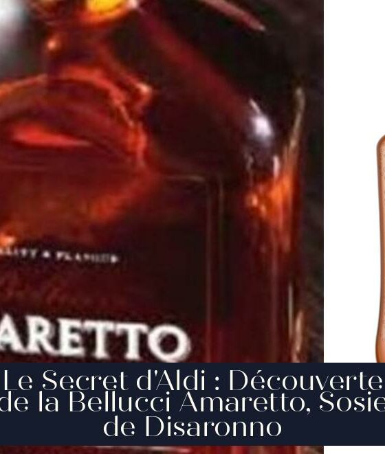 Le Secret d'Aldi : Découverte de la Bellucci Amaretto, Sosie de Disaronno