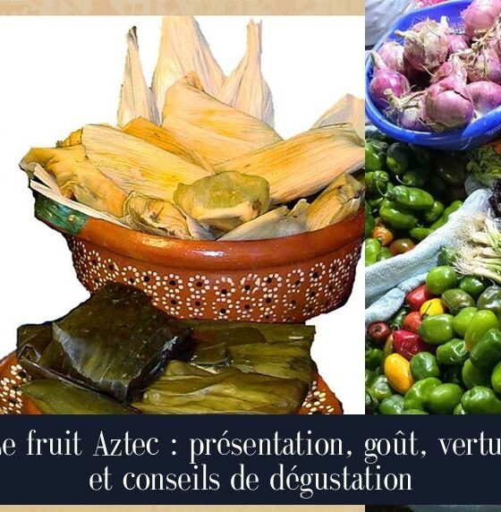 Le fruit Aztec : présentation, goût, vertus et conseils de dégustation