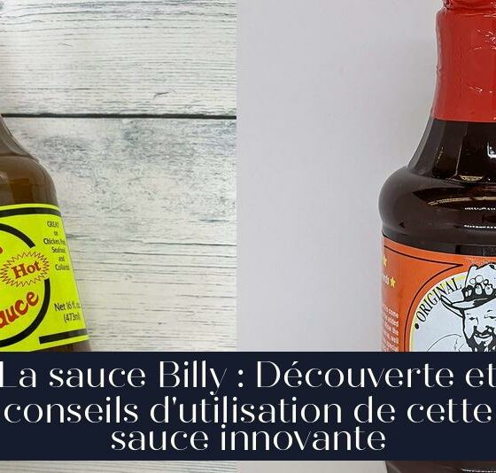 La sauce Billy : Découverte et conseils d'utilisation de cette sauce innovante