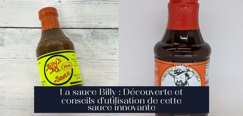 La sauce Billy : Découverte et conseils d'utilisation de cette sauce innovante