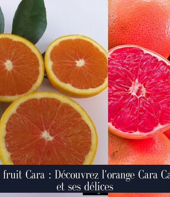 Le fruit Cara : Découvrez l'orange Cara Cara et ses délices
