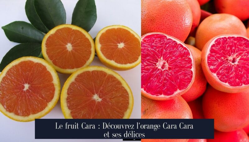 Le fruit Cara : Découvrez l'orange Cara Cara et ses délices