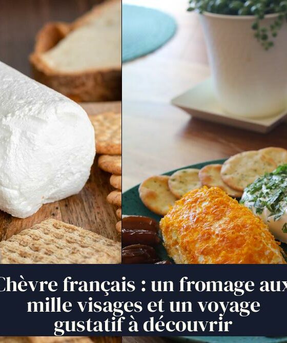Chèvre français : un fromage aux mille visages et un voyage gustatif à découvrir